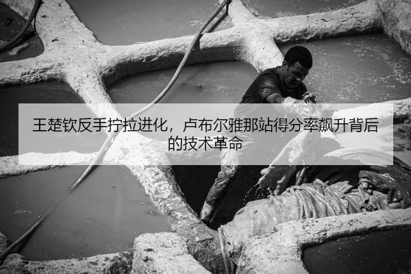 王楚钦反手拧拉进化，卢布尔雅那站得分率飙升背后的技术革命